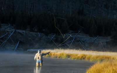 Payette Land Trust Finds New Energy With A New Season