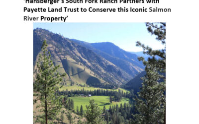 News Release- Hansberger’s South Fork Ranch Partners with Payette Land Trust to Conserve Iconic Salmon River Property