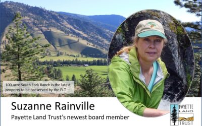Suzanne Rainville- PLT’s newest board member