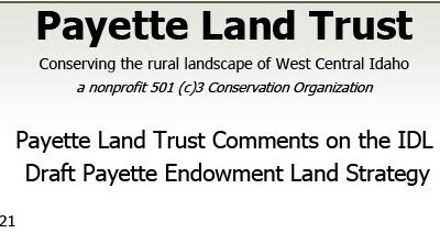 PLT submits comments on payette endowment lands strategy to IDL