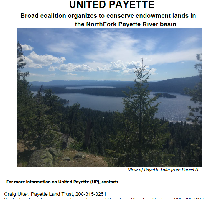 UNITED PAYETTE