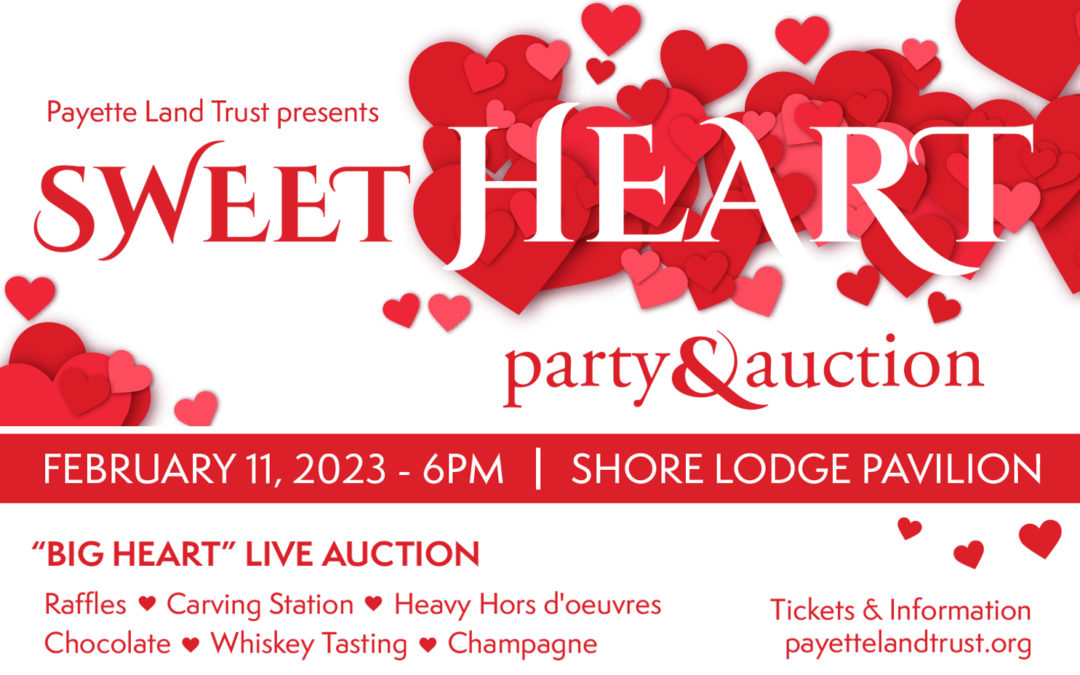 Announcing the SweetHEART Party & Auction