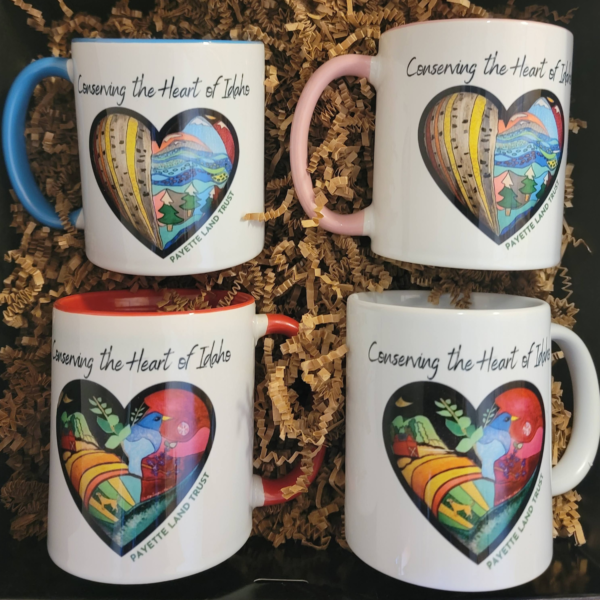 PLT BIG HEART mug (4 color options)