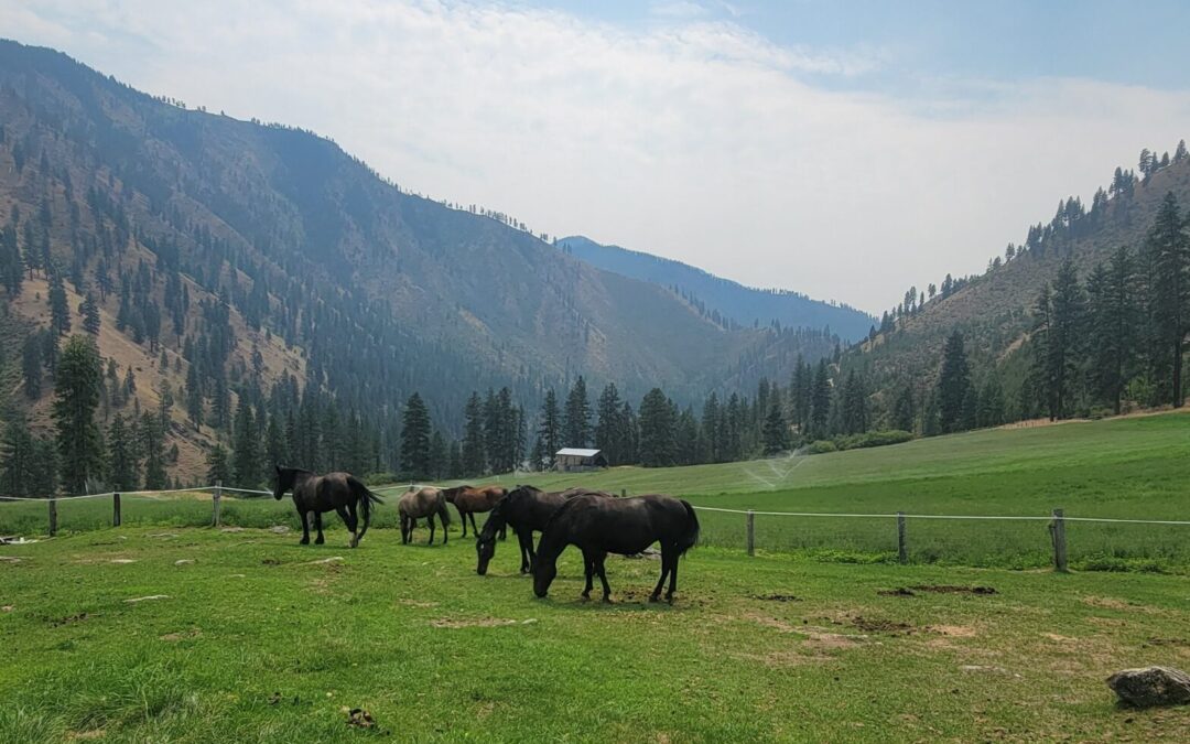 What Does a Land Trust Actually Do?