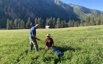 Stewardship in Action: Annual Monitoring at South Fork Ranch